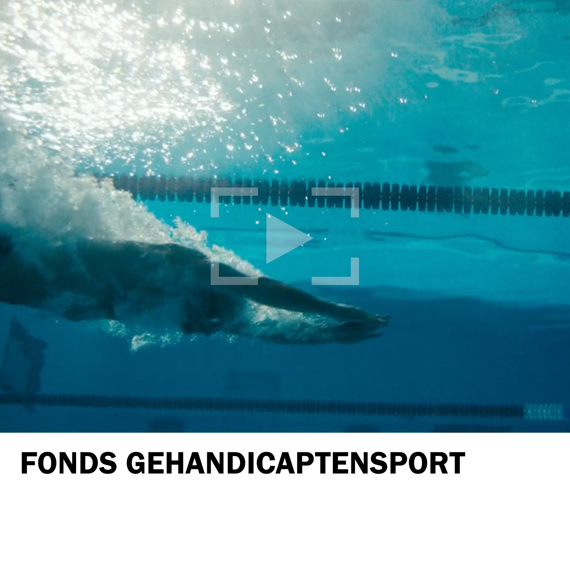 Fonds Gehandicaptensport