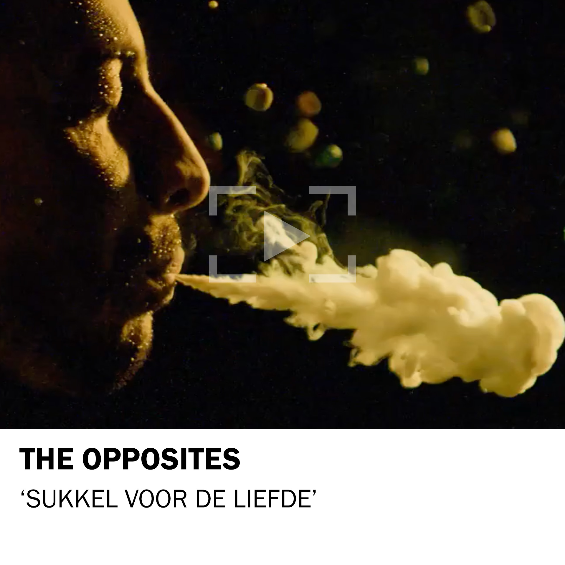 The Opposites – Sukkel voor de liefde