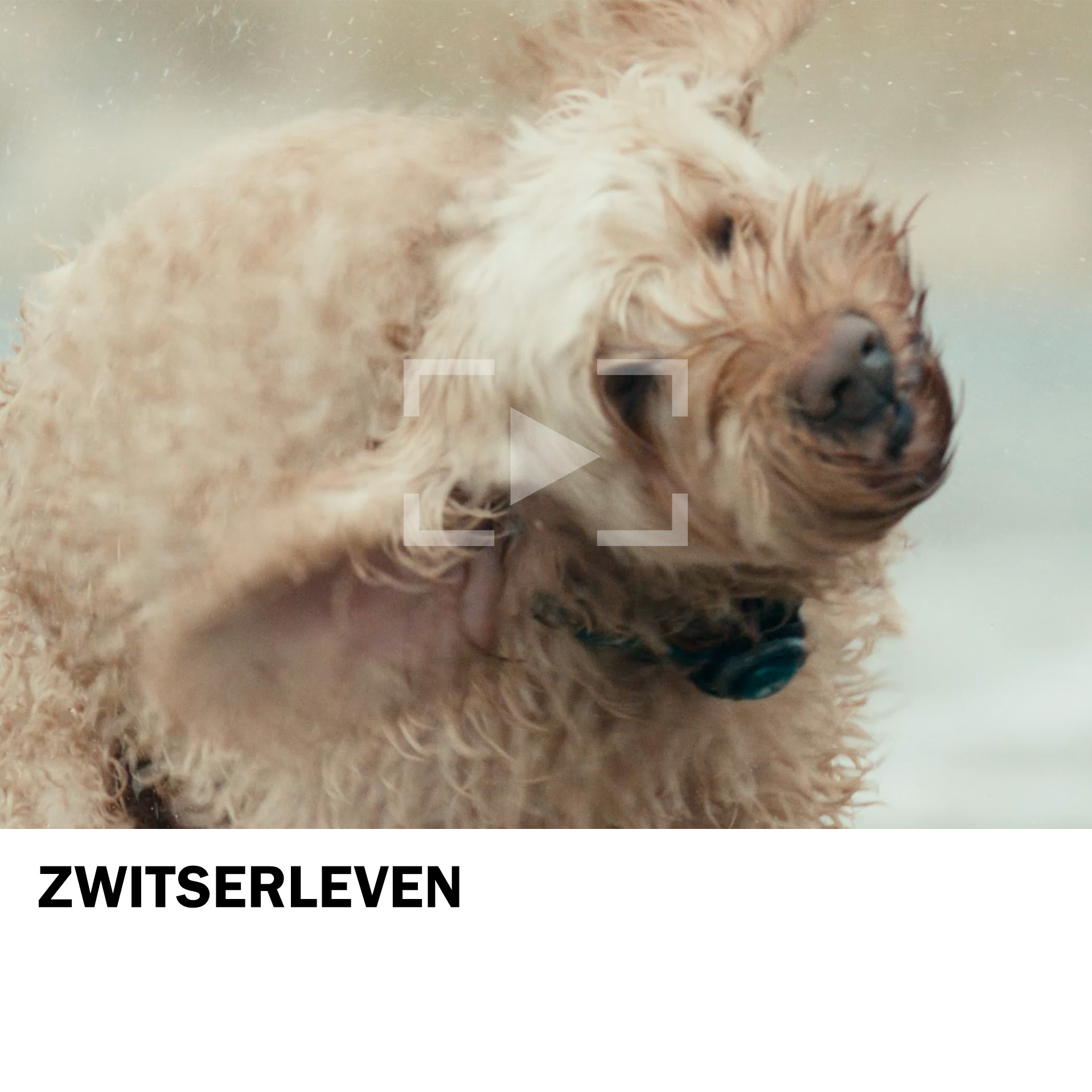 Zwitserleven