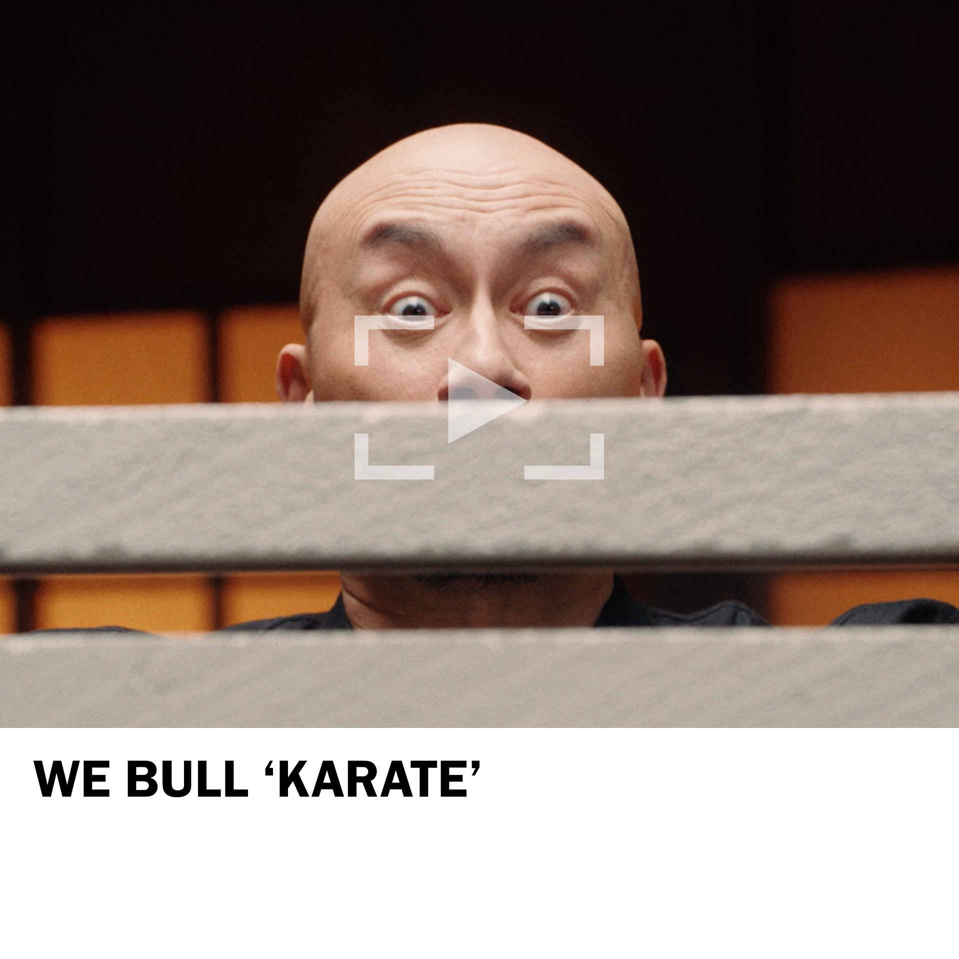 We Bull ‘Karate’